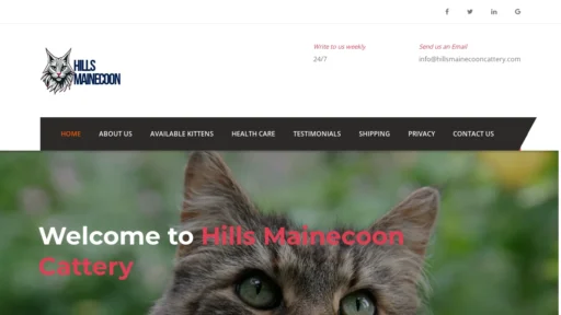 A screenshot of Hillsmainecooncattery.com