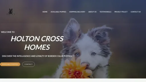 A screenshot of Holtoncrosshomes.com
