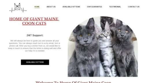 A screenshot of Homeofgiantmainecoonkiittens.com