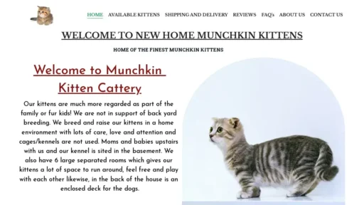 A screenshot of Homeofmymunchkins.com