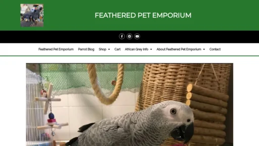 A screenshot of Homeraisedafricangreyparrots.com