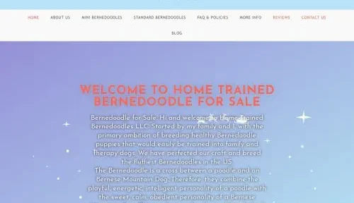 A screenshot of Hometrainedbernedoodles.com