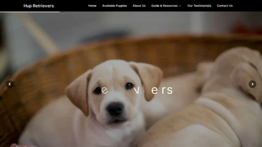 A screenshot of Hupretrievers.com