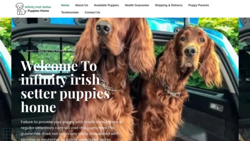 A screenshot of Infinityirishsetterpuppieshome.com