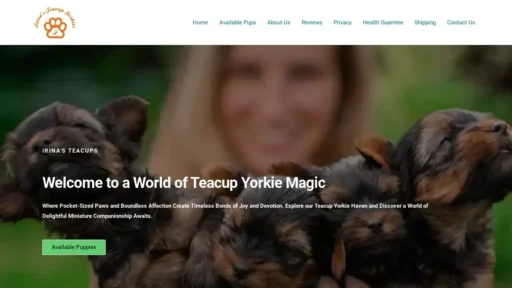 A screenshot of Irinasteacupyorkies.com