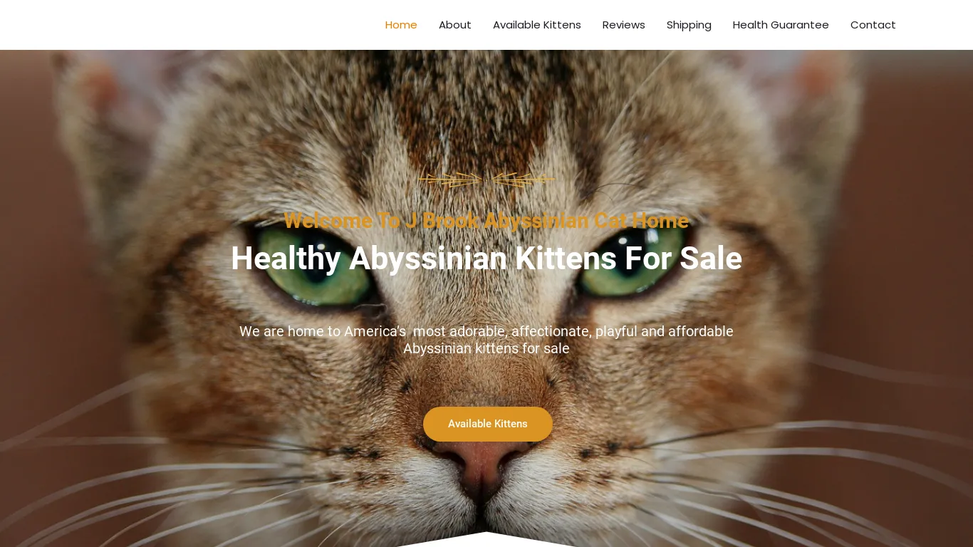 is jbrookabyssiniancathome.com legit? screenshot
