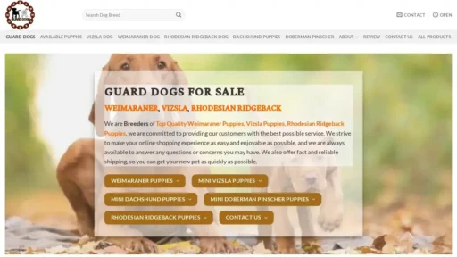 A screenshot of Jcdmd.net.in