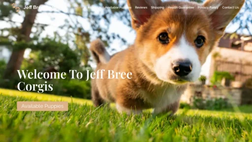 A screenshot of Jeffbreecorgis.com