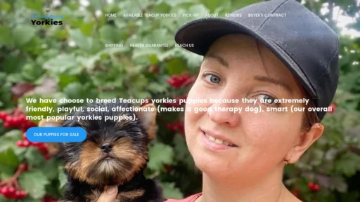 A screenshot of Jerseyteacupyorkies.com