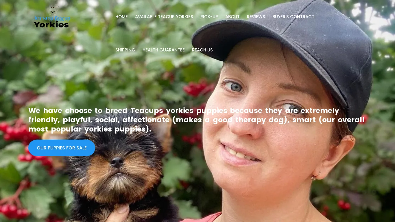 is Welcome – Jersey Teacup Yorkies legit? screenshot