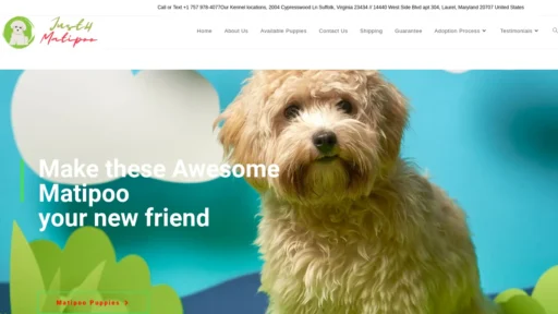 A screenshot of Justfor-maltipoo.com