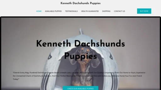 A screenshot of Kennethdachshundpuppies.com