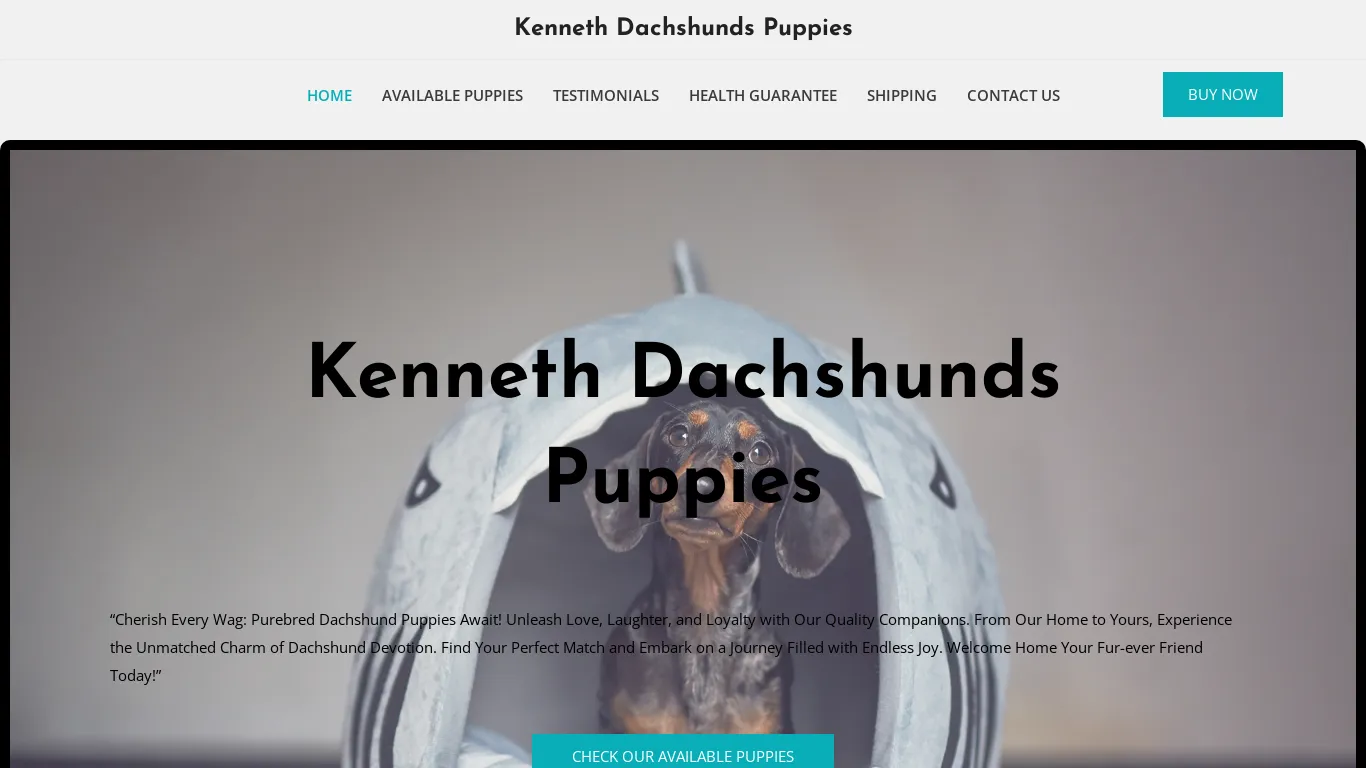 is Kenneth Dachshunds Puppies – Purebred Dachshund Puppies For Sale legit? screenshot