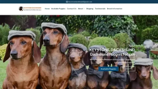 A screenshot of Keystonedachshund.com