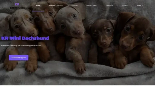 A screenshot of Krminidachshunds.com
