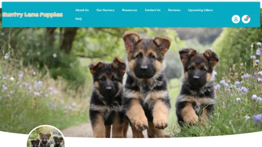 A screenshot of Kuntrylanepuppies.com
