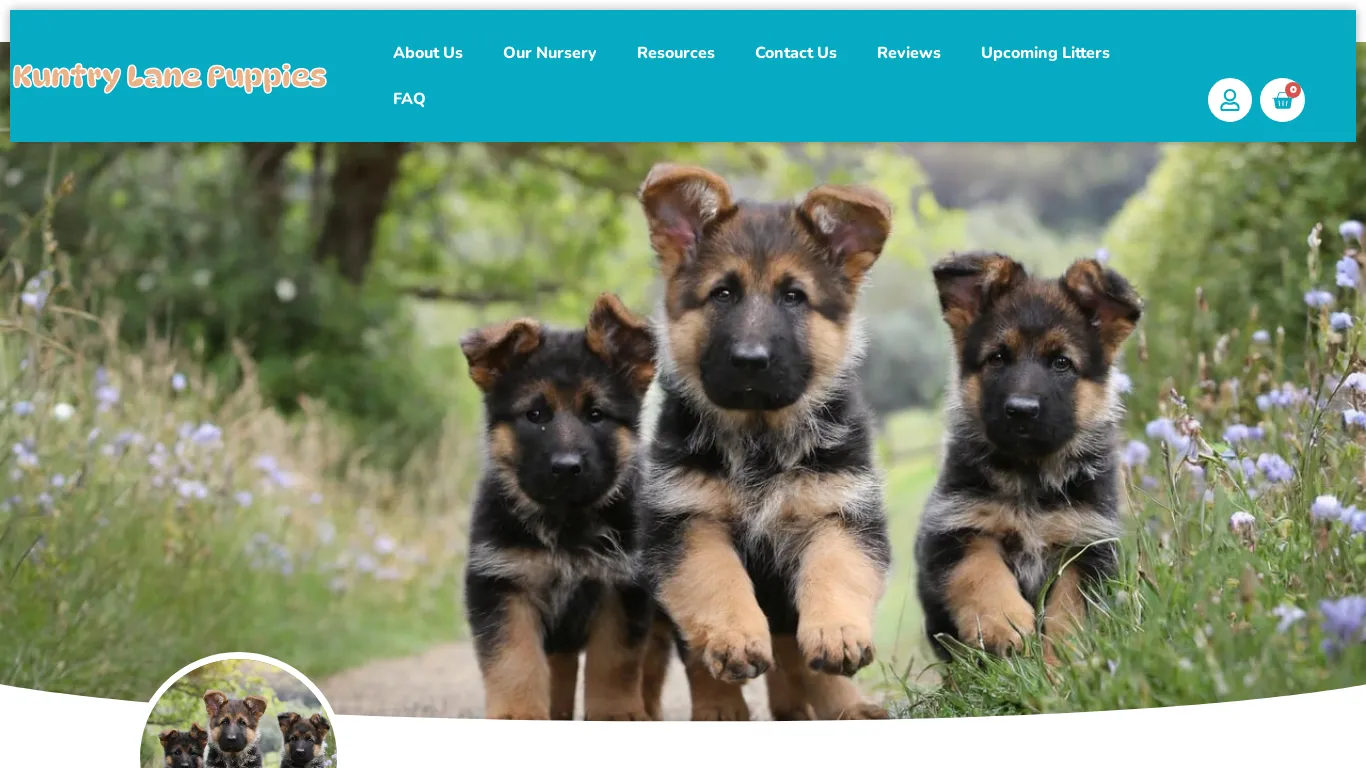 is Kuntry Lane Puppies legit? screenshot