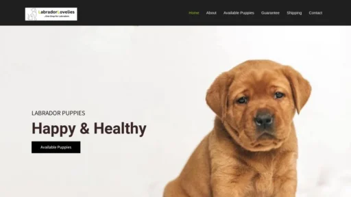 A screenshot of Labradorlovelies.com