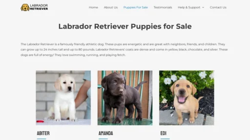 A screenshot of Labradorretriever.cc