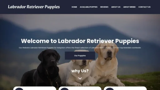 A screenshot of Labradorretrieverpuppiesforadoption.com