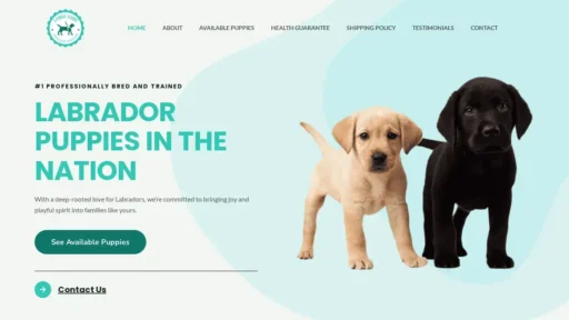 A screenshot of Labrayard.com