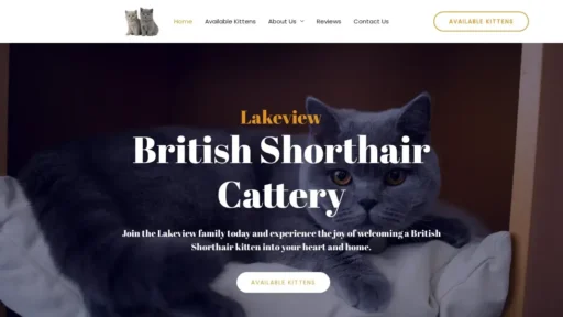 A screenshot of Lakeviewbritishshorthaircats.com