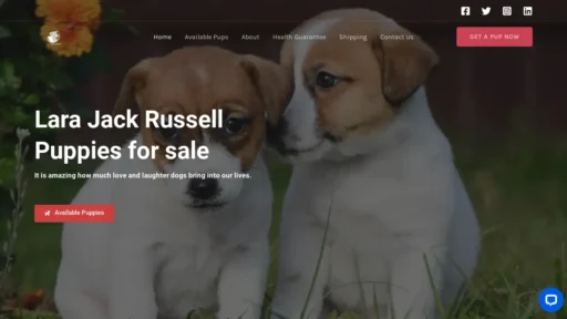 A screenshot of Larajackrussell.com