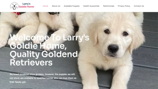 A screenshot of Larrysgoldiehome.com