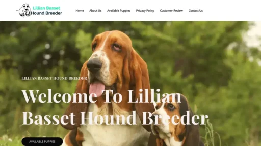 A screenshot of Lillianbassethoundbreeder.com