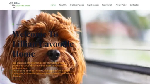A screenshot of Lilliancavoodlehome.com