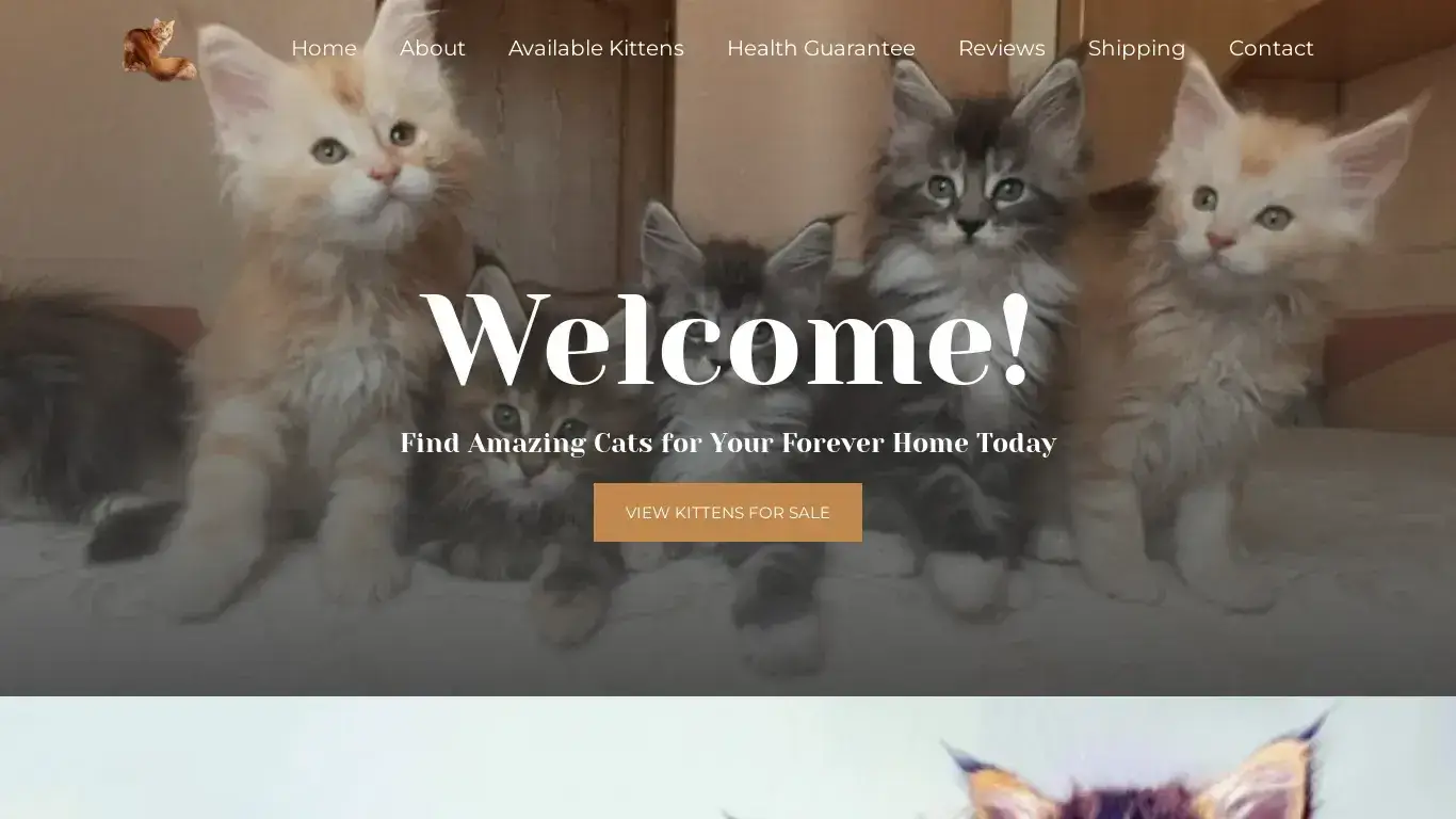 is Home - lisakittycoons.com legit? screenshot