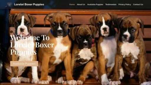 A screenshot of Loreleiboxerpuppies.com