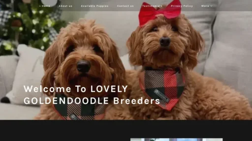 A screenshot of Lovelygoldendoodlebreeders.com
