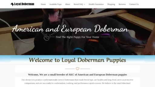 A screenshot of Loyaldobermanpuppies.com