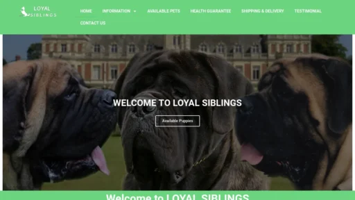 A screenshot of Loyalsiblings.com