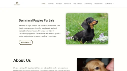 A screenshot of Loyalsidekick.com