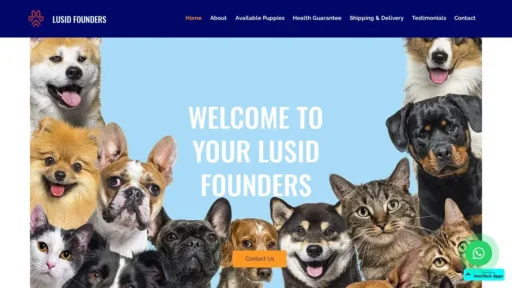 A screenshot of Lusidfounders.com