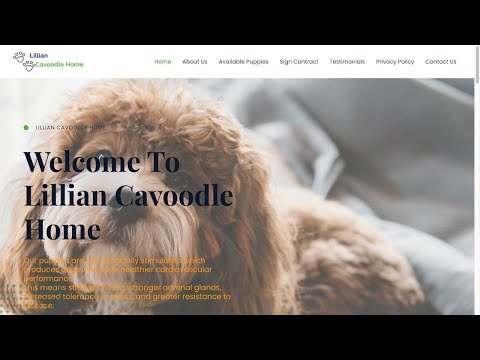 Is Lillianbassethoundbreeder.com legit or a scam?
