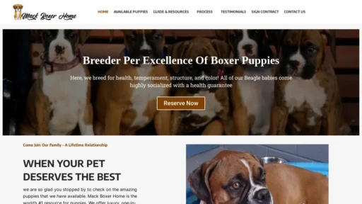 A screenshot of Mackboxerhome.com