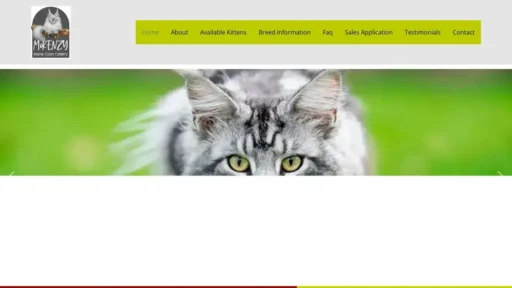 A screenshot of Mainecooncatforsale.net