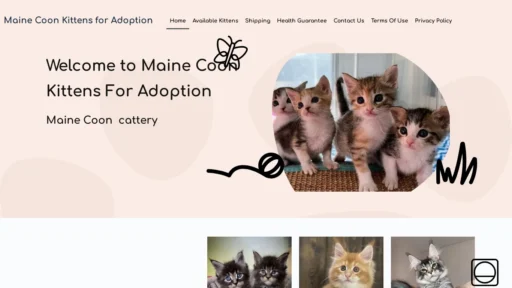 A screenshot of Mainecoonkittensforadoptions.com