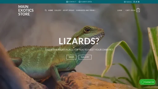 A screenshot of Mainexotics.com