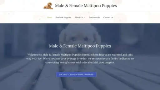 A screenshot of Maleandfemalemaltipoopuppies.com