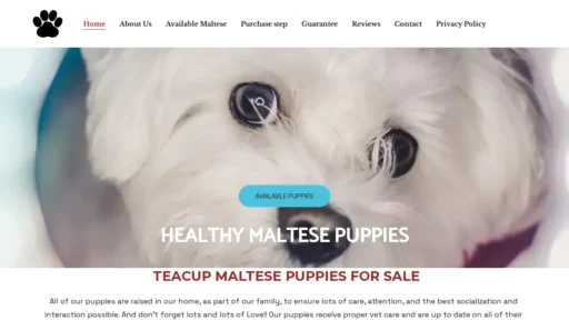 A screenshot of Maltesepaws.com