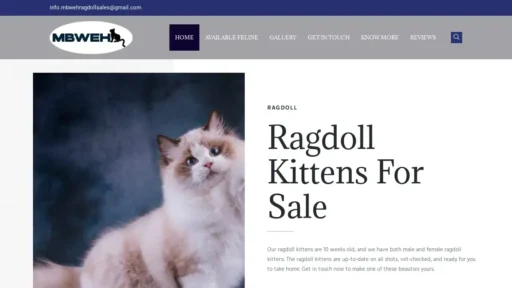 A screenshot of Mbwehragdoll.com