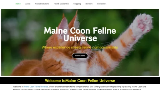 A screenshot of Mcfelineuniverse.com