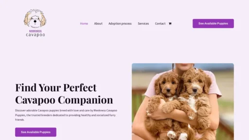 A screenshot of Meeknesscavapoopuppies.com