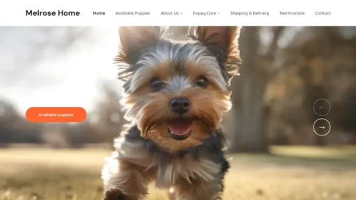 A screenshot of Melroseyorkies.com