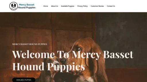A screenshot of Mercybassethoundpuppies.com