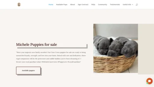A screenshot of Michelecanecorso.com